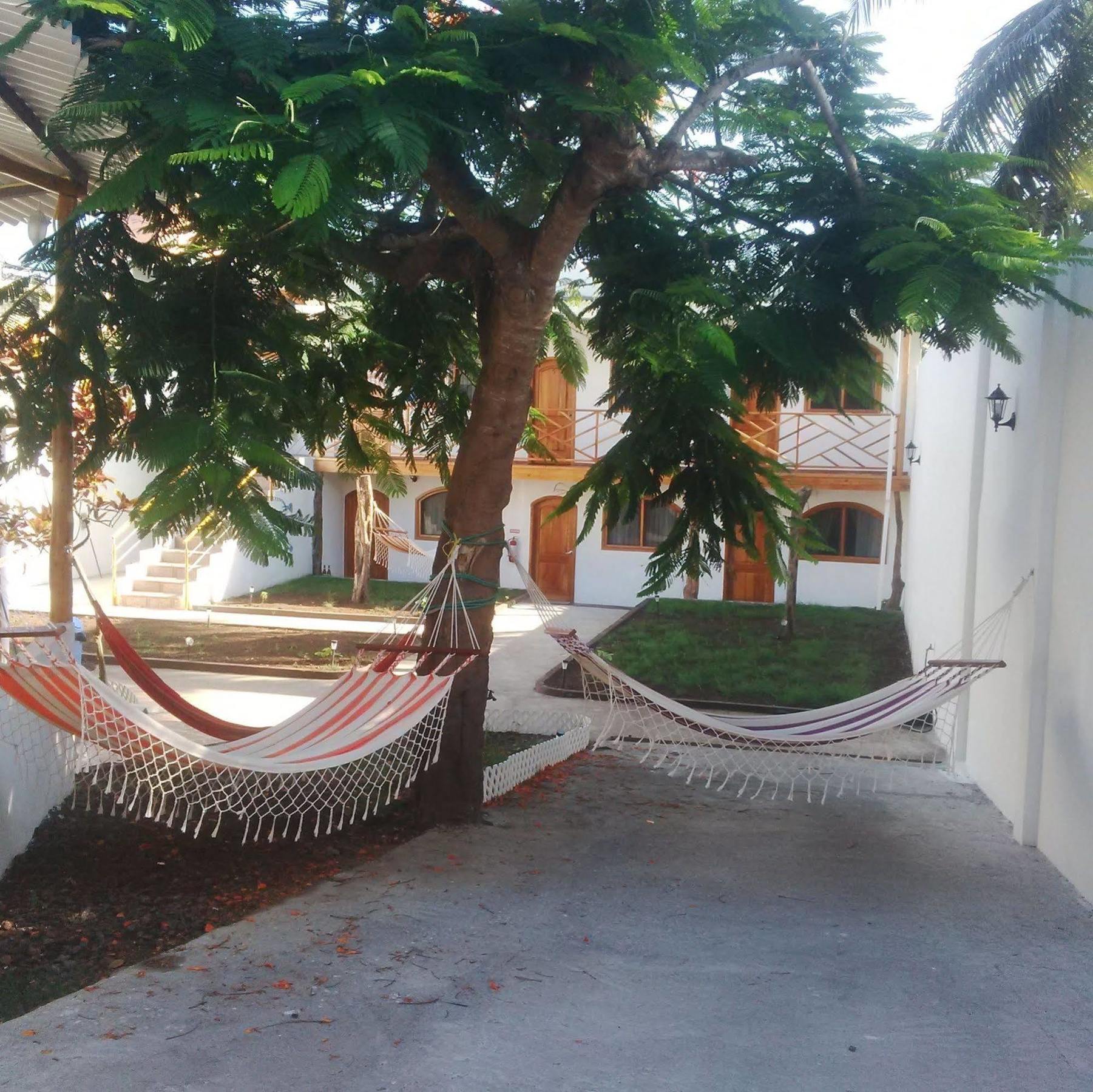Hostal White House Galapagos Puerto Ayora  Eksteriør bilde