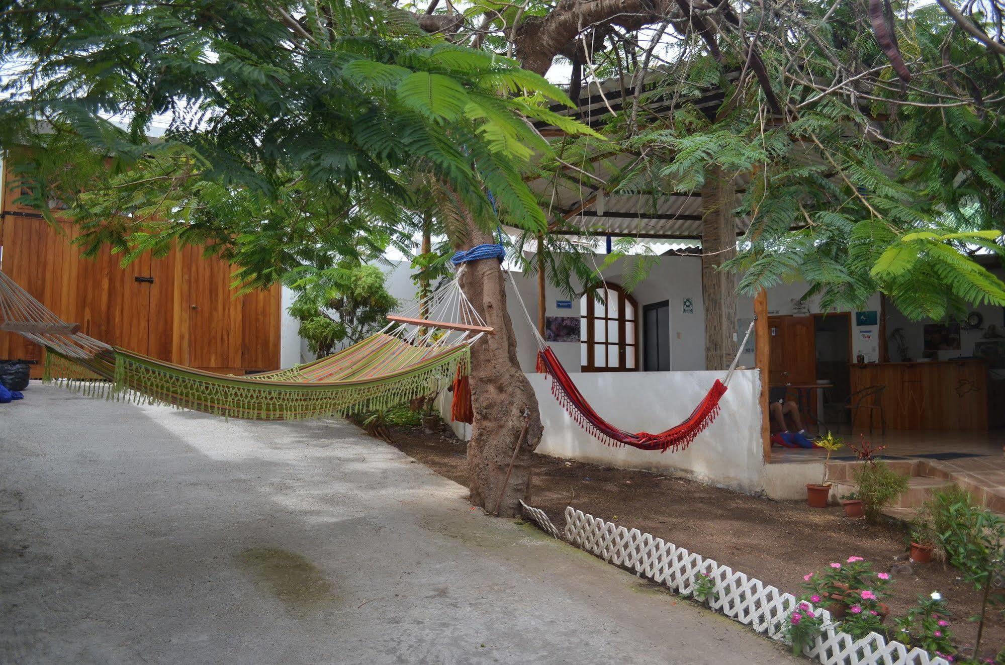 Hostal White House Galapagos Puerto Ayora  Eksteriør bilde